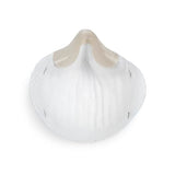Moldex 2200N95 N95 Disposable Respirator