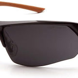 Carhartt Braswell Bifocal Safety Glasses, Anti-Fog Lens