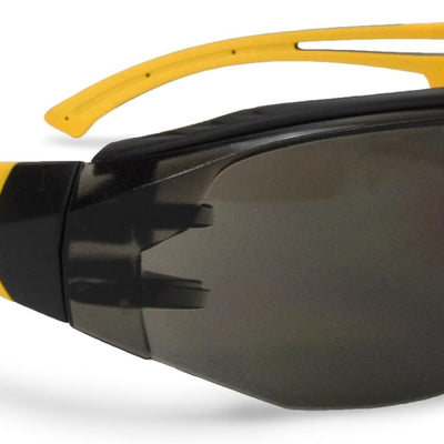 DEWALT DPG108-2D Renovator Safety Glasses