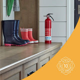First Alert FE1A10GR195 HOME1 Fire Extinguisher — Rechargeable 1-A:10-B:C