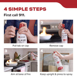Kidde KAP-14K Flame Out Fire Spray — Kitchen Aerosol Extinguisher