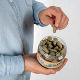 Moldex 6685 Camo Plugs Disposable Foam Earplug Jar — NRR 33dB, 40 Pairs